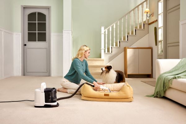 TINECO iCarpet Spot